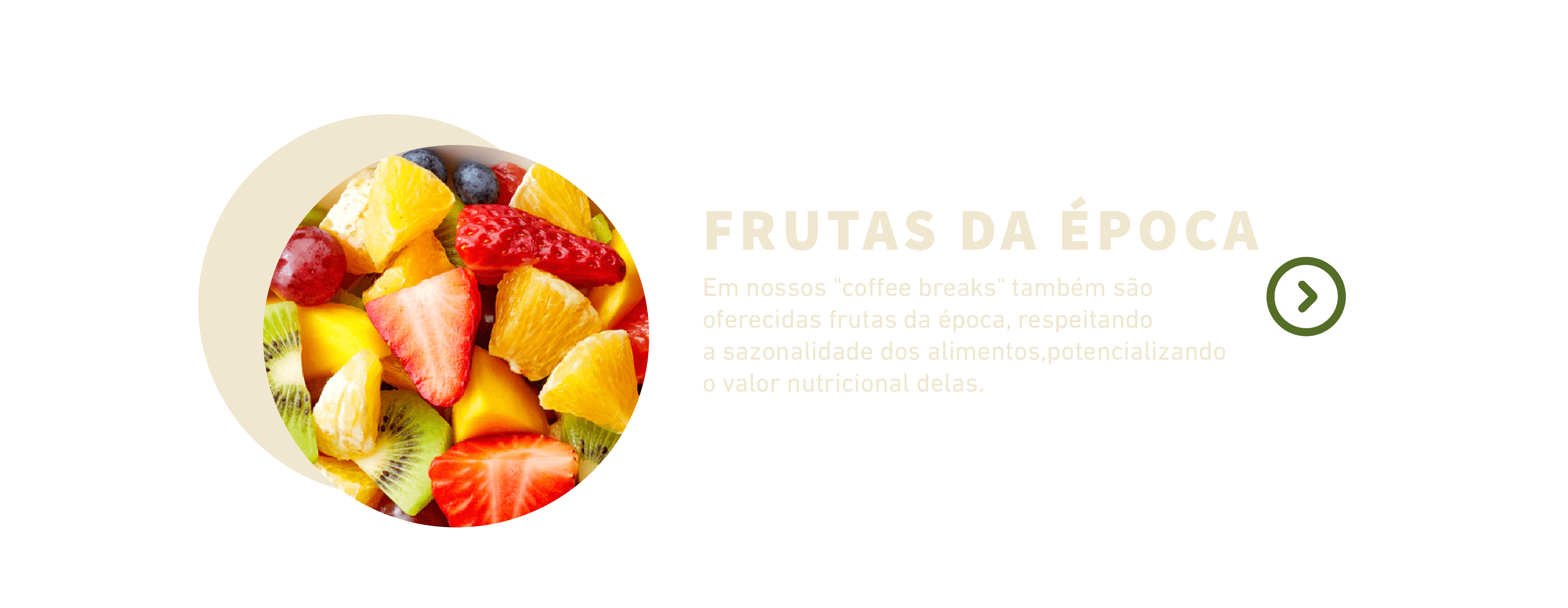 teste_pagina_sustentabilidade-06.png