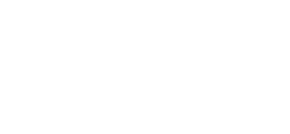 Logo NEEX